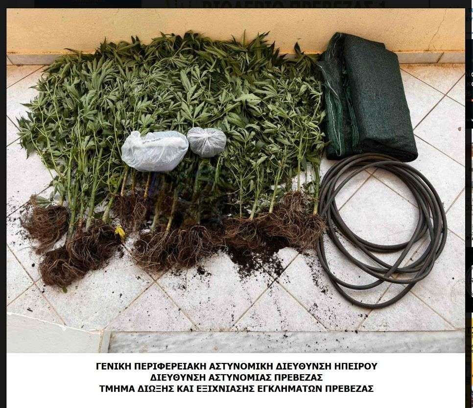 Συνελήφθη για καλλιέργεια και κατοχή ναρκωτικών σε περιοχή της Πρέβεζας