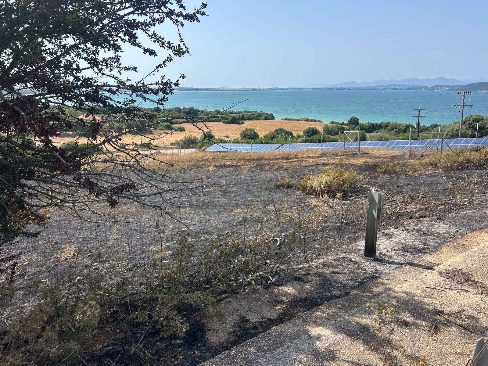 Βόνιτσα: Υπό πλήρη έλεγχο η φωτιά στα Λιβαδάκια